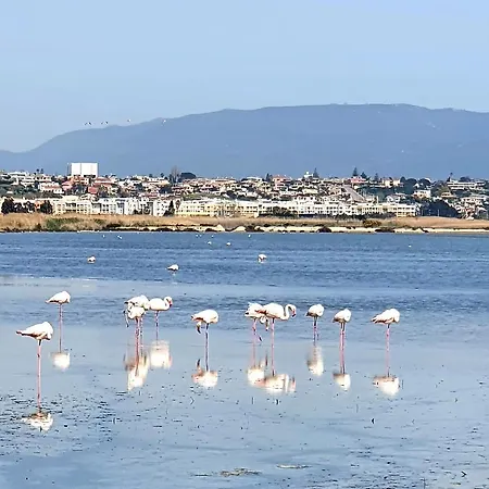 Dea Madre Отель типа 