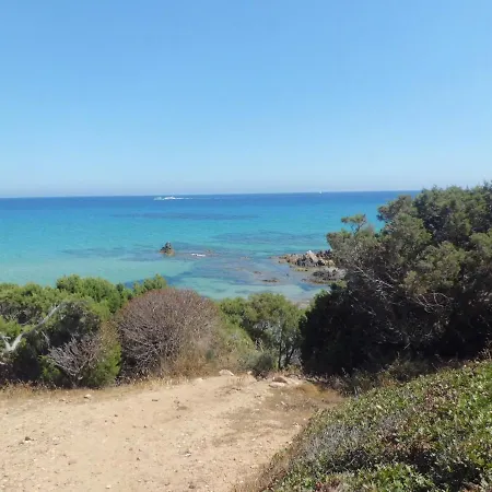 Dea Madre 3* Саррок